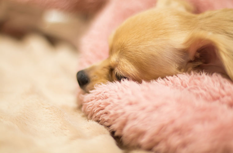 がんの緩和治療で家族にできること