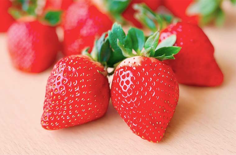 採れたてフレッシュ！産地直送いちご販売