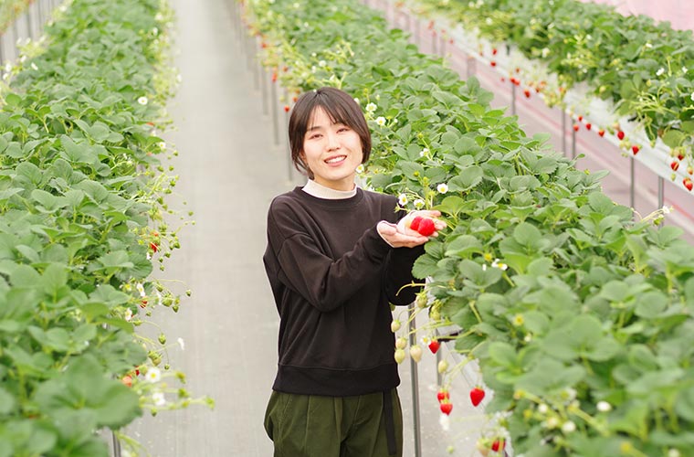 めぐみいちご園