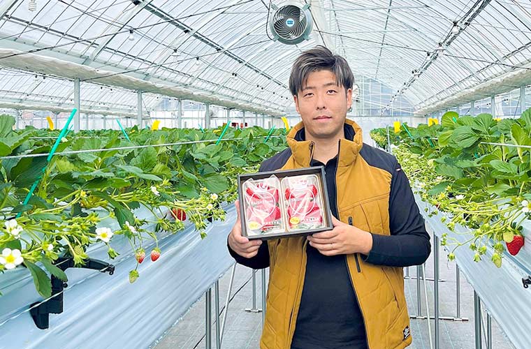 TAiSHi farm​